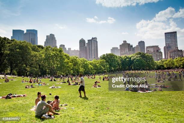 central park, new york - sheep meadow bildbanksfoton och bilder