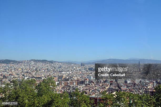 city of barcelona - cebolla stockfoto's en -beelden