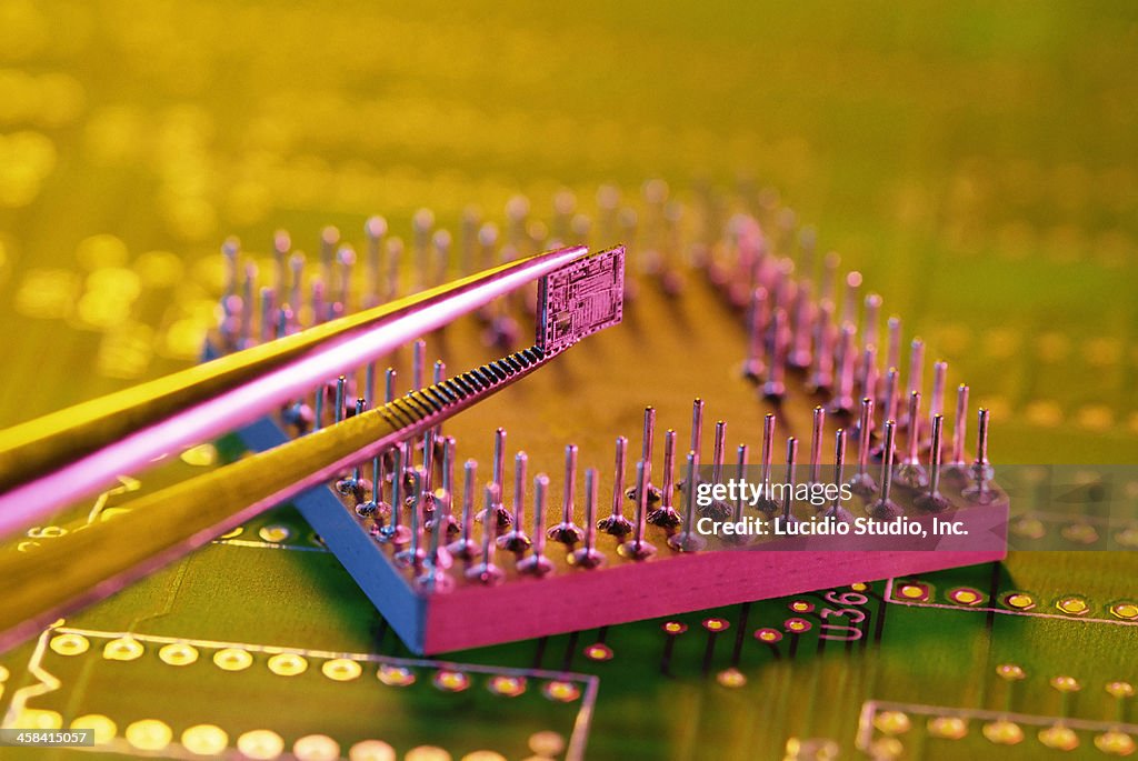 Integrated Circuit Chip and IC