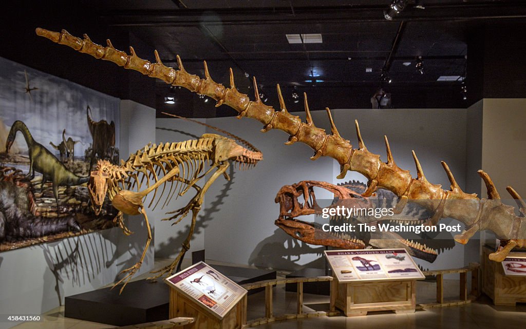 National Geographic is unveiling the Spinosaurus exhibit on Friday, in Washington, DC.