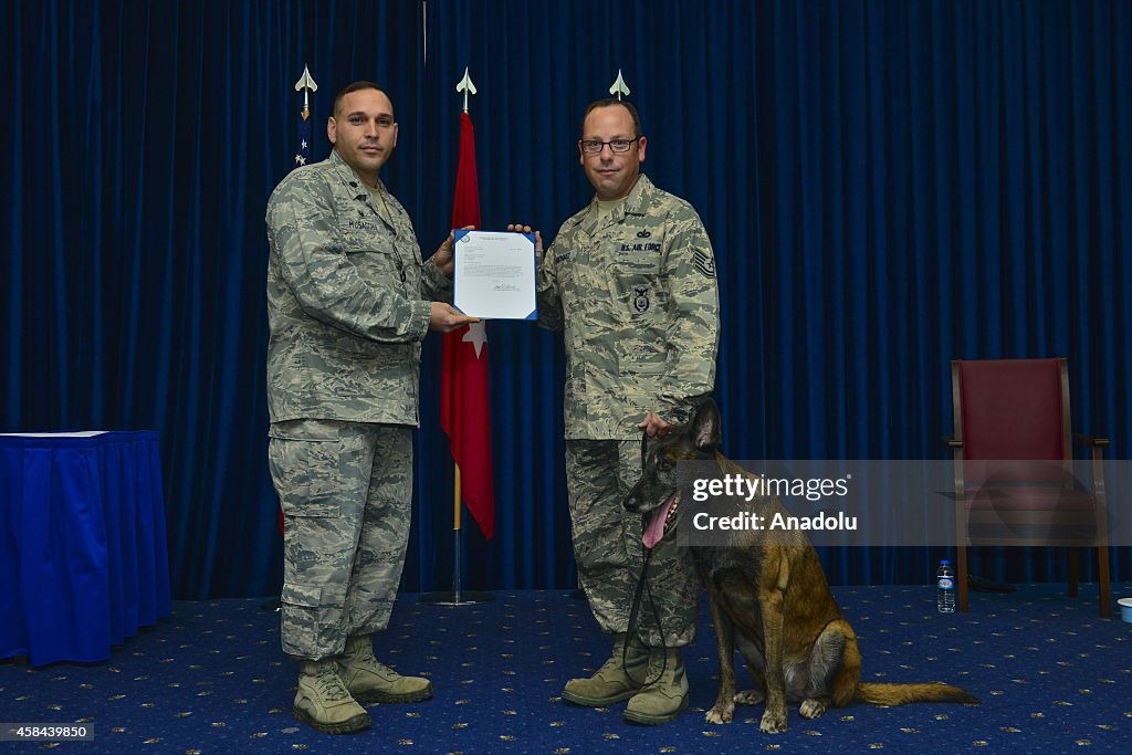 Military dog retired in Incirlik Air Base