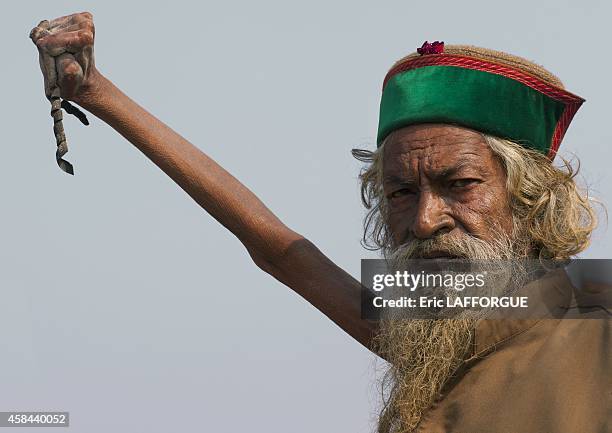 Sadhu amar bharati holding his arm up for 38 years, maha kumbh mela, on February 7, 2013 in Allahabad, India.