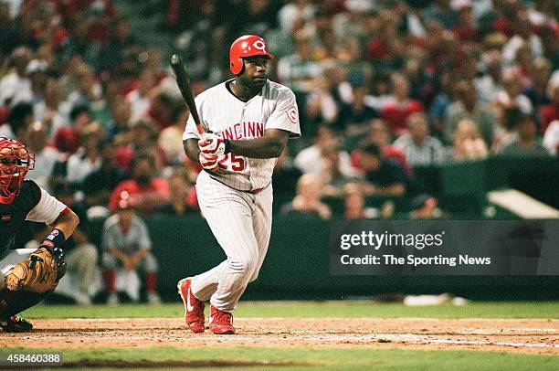 758 Dmitri Young Photos & High Res Pictures - Getty Images