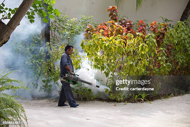 man sprays mosquito treatment at resort - dengue stock pictures, royalty-free photos & images