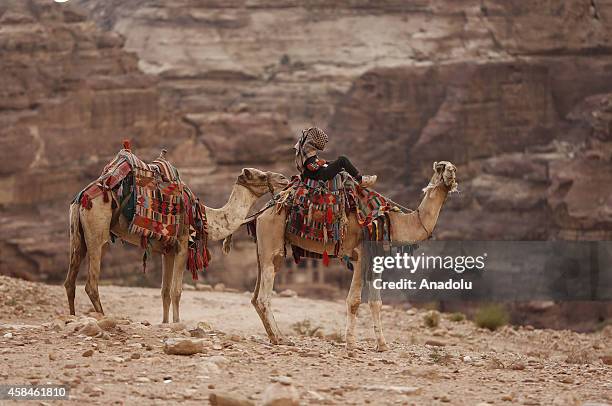 Camels are seen in historical Petra city of southern Jordanian governorate Ma'an on October 20, 2014. Being among UNESCO Intangible Cultural Heritage...