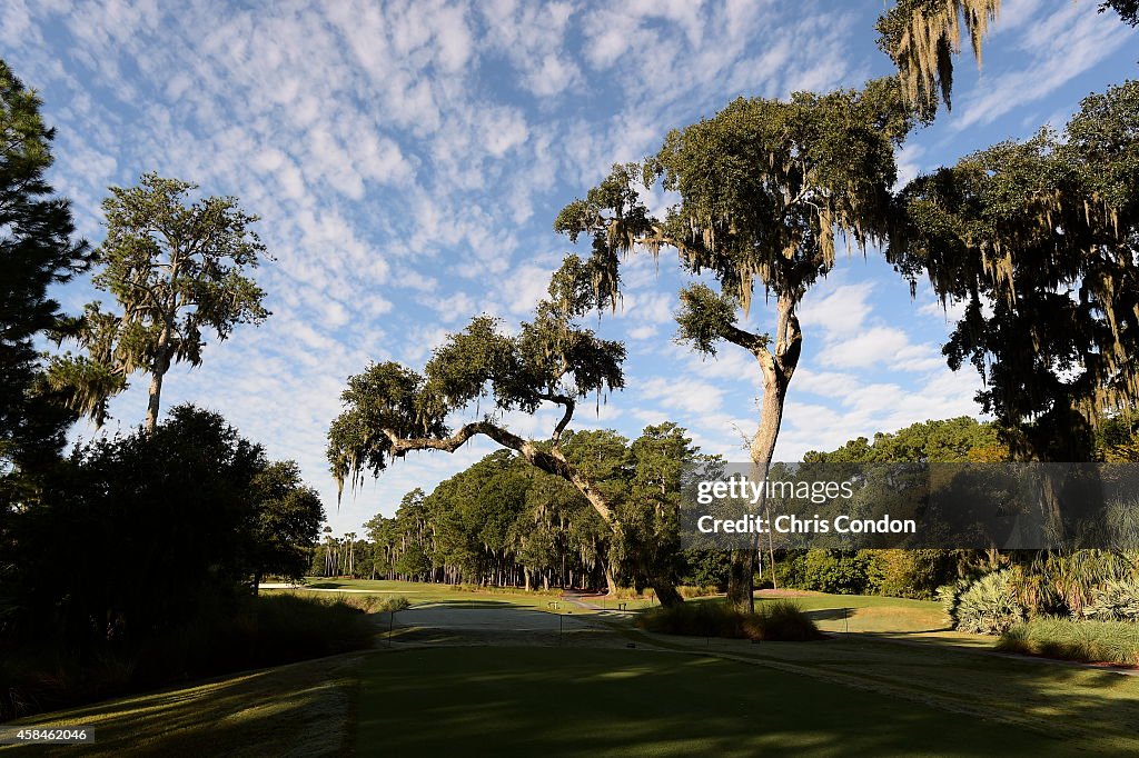 Overhanging Oak Removed on TPC Sawgrass Stadium Courses 6th Hole