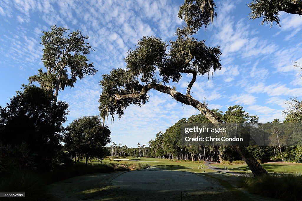 Overhanging Oak Removed on TPC Sawgrass Stadium Courses 6th Hole