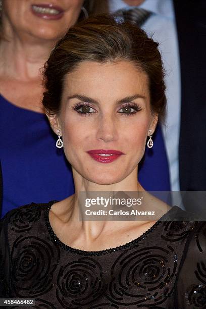 Queen Letizia of Spain attends the "Francisco Cerecedo" journalism award 2014 ceremony at the Ritz Hotel on November 5, 2014 in Madrid, Spain.