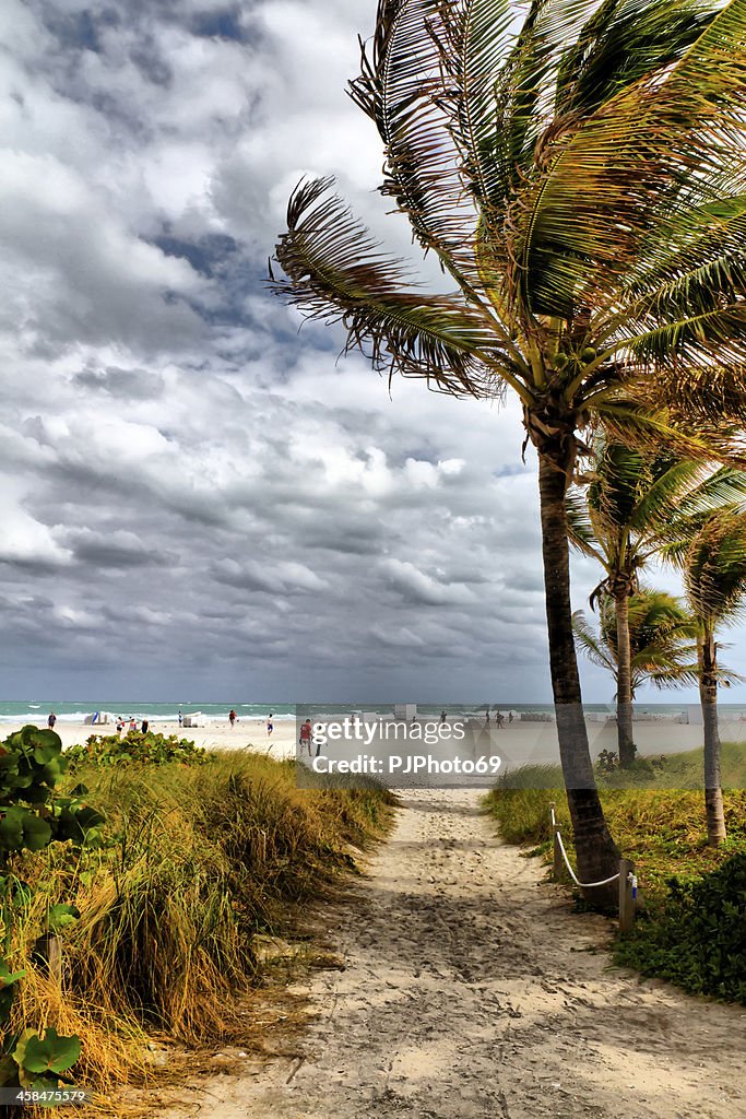 Miami - The entrance at beach