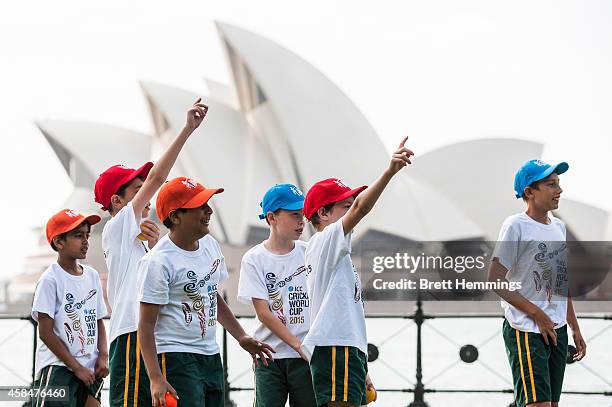 Kids play cricket during the ICC 2015 Cricket World Cup 100 days to go announcement on November 6, 2014 in Sydney, Australia.