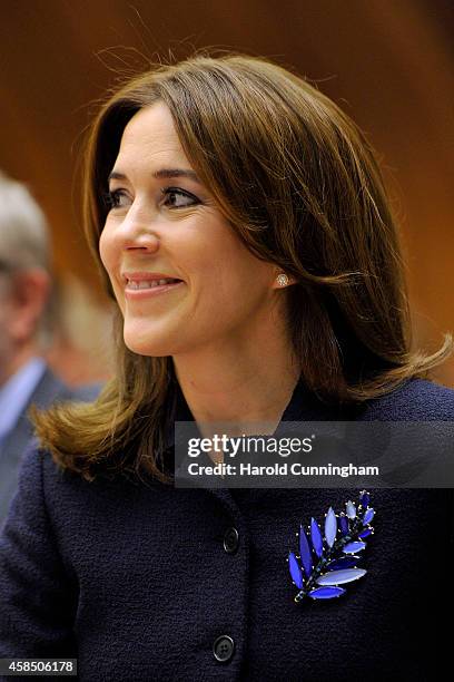 Crown Princess Mary of Denmark speaks during the regional review meeting of the status of women in the UNECE region 20 years after the Beijing...