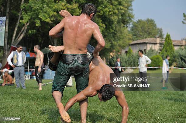 oilwrestling - edirne stock pictures, royalty-free photos & images