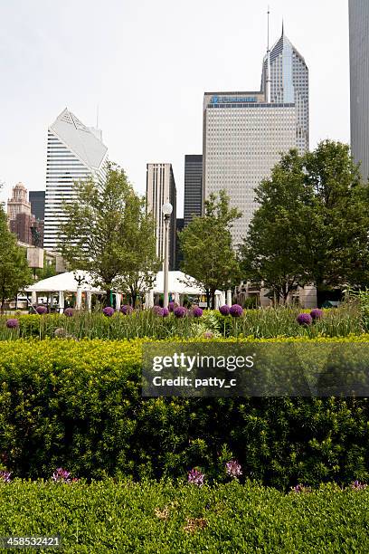 view from millennium park - diamond building in chicago stock pictures, royalty-free photos & images