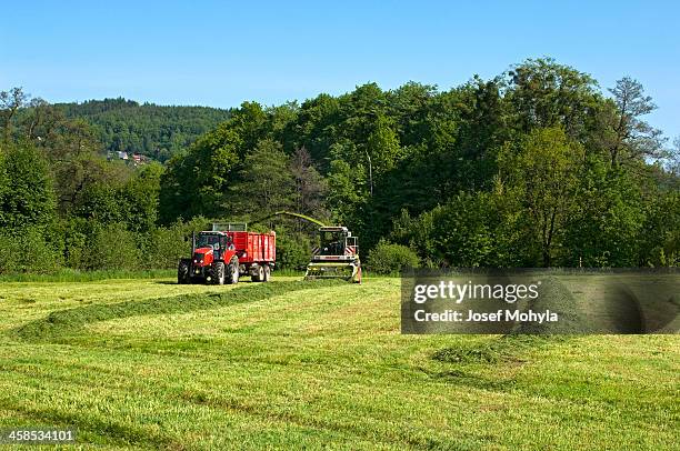 collecting grass - ensilage bildbanksfoton och bilder