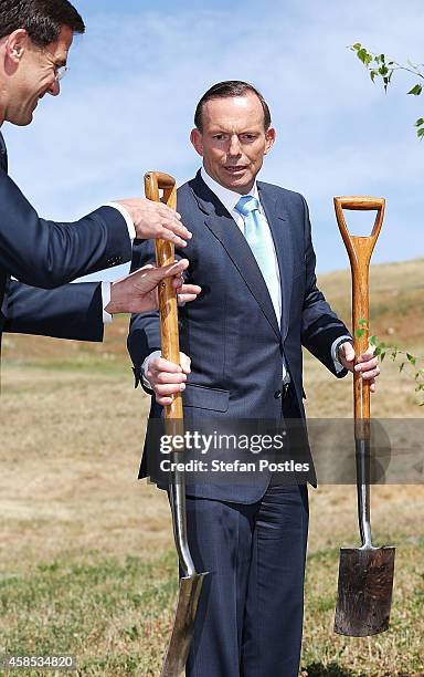 Netherlands Prime Minister Mark Rutte and Australian Prime Minister Tony Abbott plant a silver birch tree at the National Arboretum on November 7,...