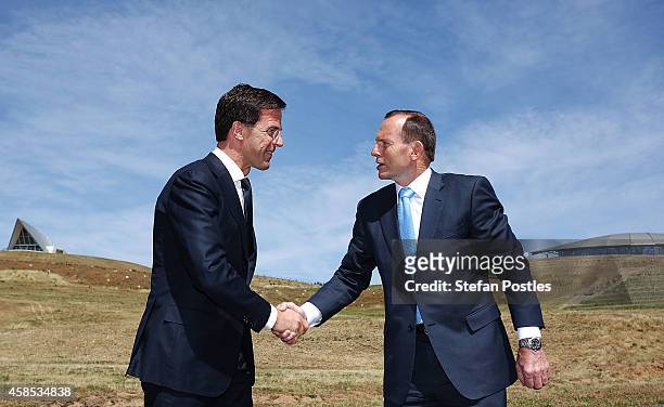 Netherlands Prime Minister Mark Rutte and Australian Prime Minister Tony Abbott shake hands after planting a silver birch tree at the National...
