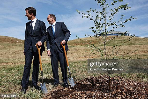 Netherlands Prime Minister Mark Rutte and Australian Prime Minister Tony Abbott plant a silver birch tree at the National Arboretum on November 7,...