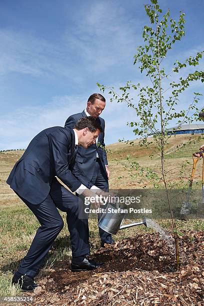 Netherlands Prime Minister Mark Rutte and Australian Prime Minister Tony Abbott water their newly planted silver birch tree at the National Arboretum...