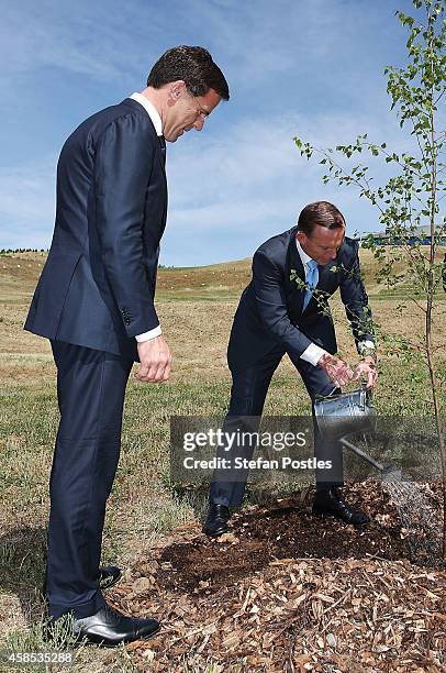 Netherlands Prime Minister Mark Rutte and Australian Prime Minister Tony Abbott water their newly planted silver birch tree at the National Arboretum...