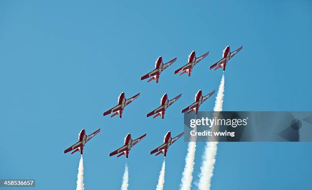 canadiense aves en la nieve vuelo desde abajo - canadian snowbird fotografías e imágenes de stock