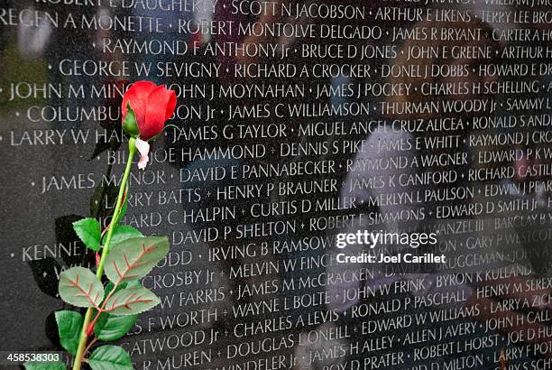 rose at vietnam veterans memorial in washington dc - vietnam memorial stock pictures, royalty-free photos & images