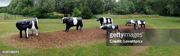 milton keynes. cocrete cows. - cow art stock pictures, royalty-free photos & images
