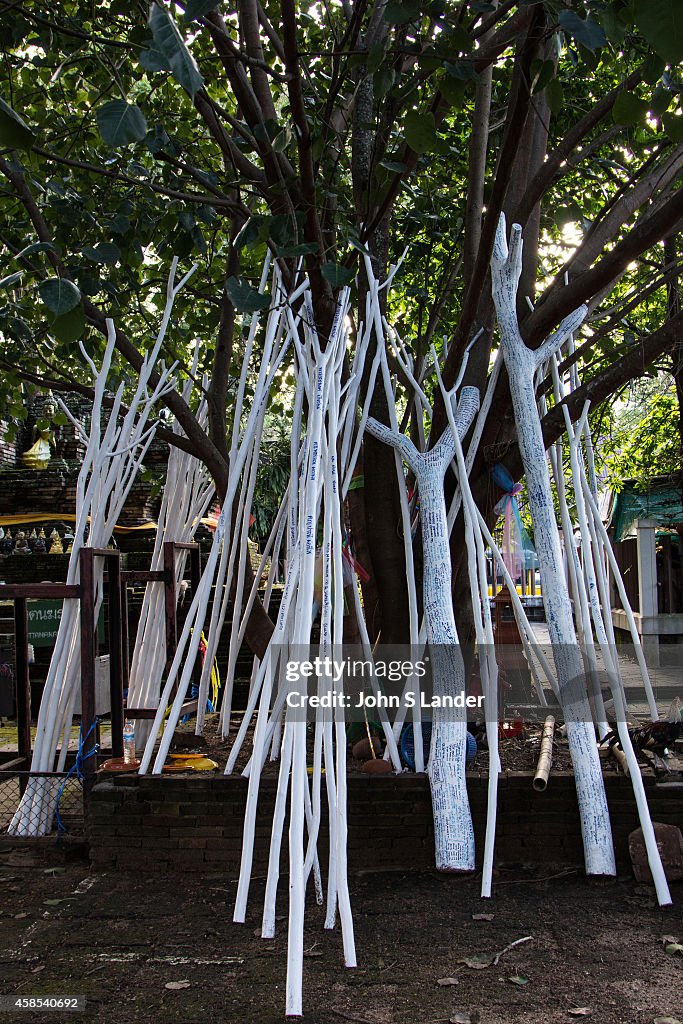 Wat Jet Yot Bodhi Tree  - Wat Jet Yot was built in the...