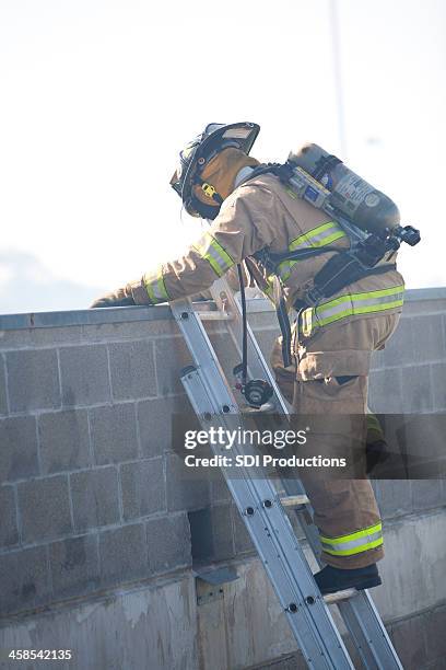 Firefighter Trainee 554 Firefighter Training Academy Stock Photos, High-Res Pictures, and ...