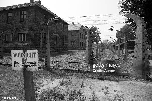 auschwitz concentration camp - concentration camp fence stock pictures, royalty-free photos & images