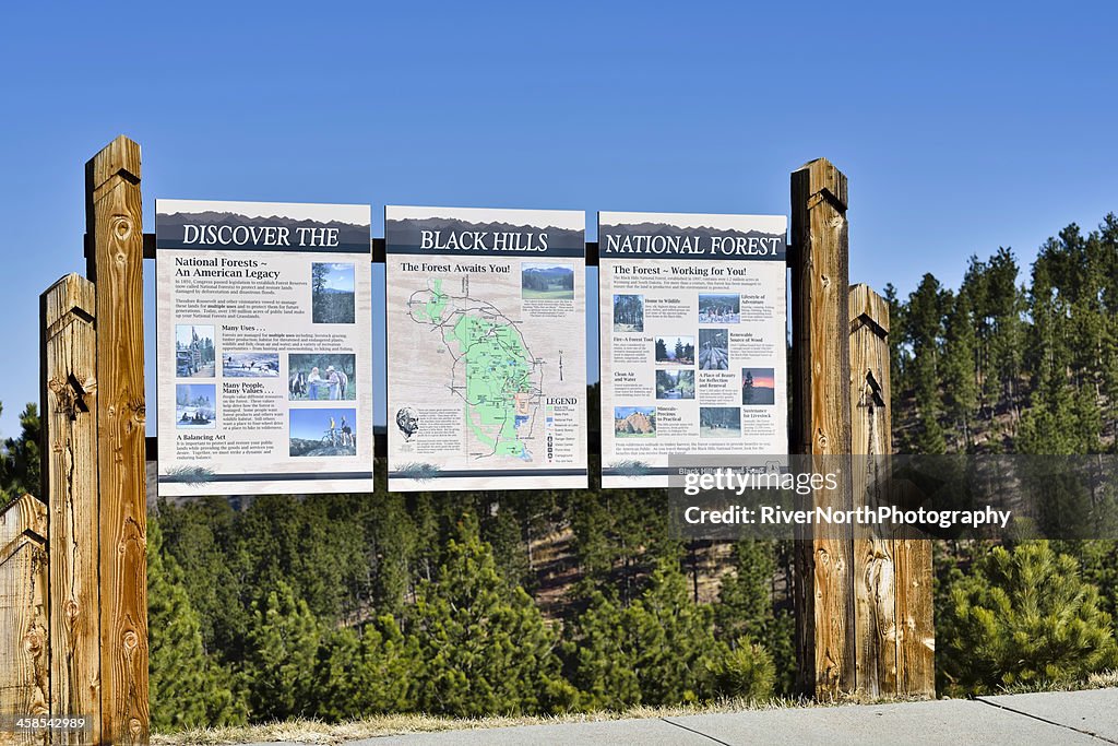 Black Hills, South Dakota