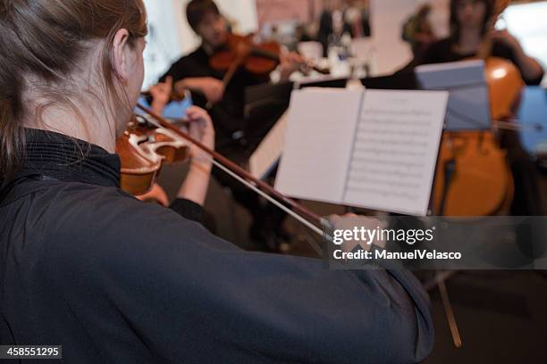 violinista - string quartet fotografías e imágenes de stock