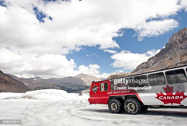 columbia icefields - columbia icefield bildbanksfoton och bilder