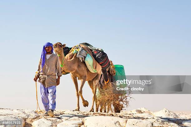 camel caravan - over burdened stock pictures, royalty-free photos & images