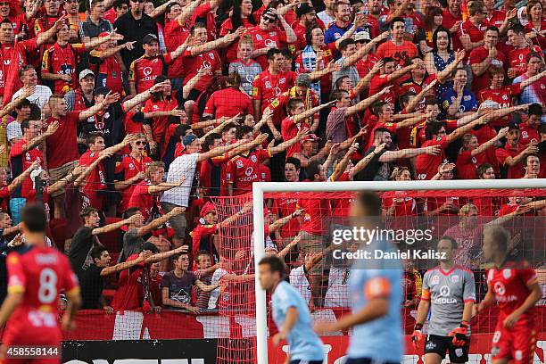 Fans react during the round five A-League match between Adelaide United and Sydney FC at Coopers Stadium on November 7, 2014 in Adelaide, Australia.