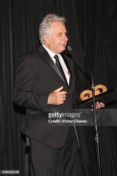 Mario Schjetnan is seen during the GQ Men Of The Year Award 2014 on November 6, 2014 in Mexico City, Mexico.