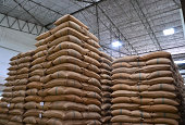 Hemp sacks stacked high in a large warehouse