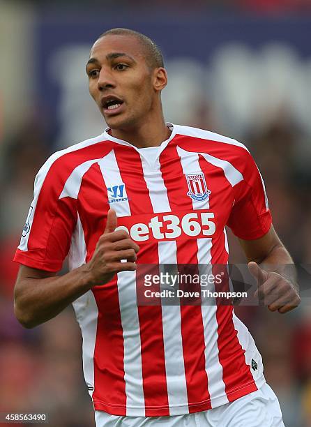 Steven N'Zonzi of Stoke City during the Barclays Premier League match between Stoke City and West Ham United at the Britannia Stadium on November 1,...
