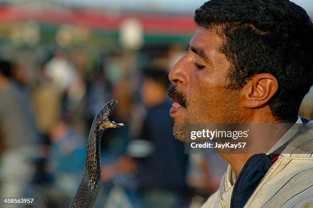 snake charmer - snake charmer stock pictures, royalty-free photos & images