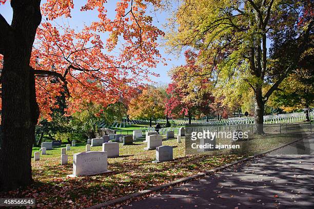 arlington national cemetery with colorful trees - arlington virginia stockfoto's en -beelden