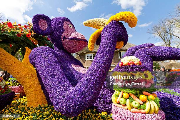 flower parade - optocht stockfoto's en -beelden