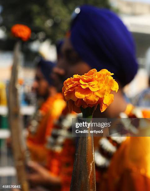 indischen sikh-anhänger märz - hairy indian men stock-fotos und bilder