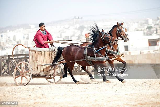 gladiator in the arena - jerash, jordan - chariot stockfoto's en -beelden