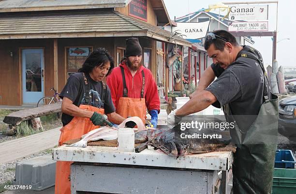 cutting and cleaning the halibut, homer,alaska - halibut stock pictures, royalty-free photos & images