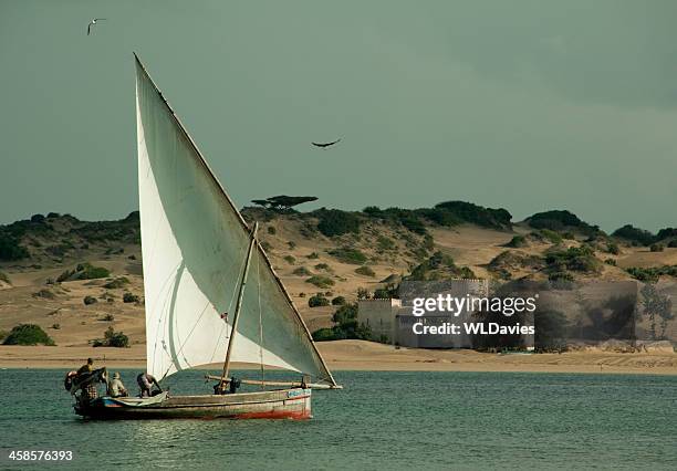 dhow sailboat - lamu kenya stock pictures, royalty-free photos & images