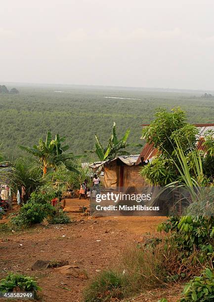 african shacks overlooking rainforest - liberia stock pictures, royalty-free photos & images