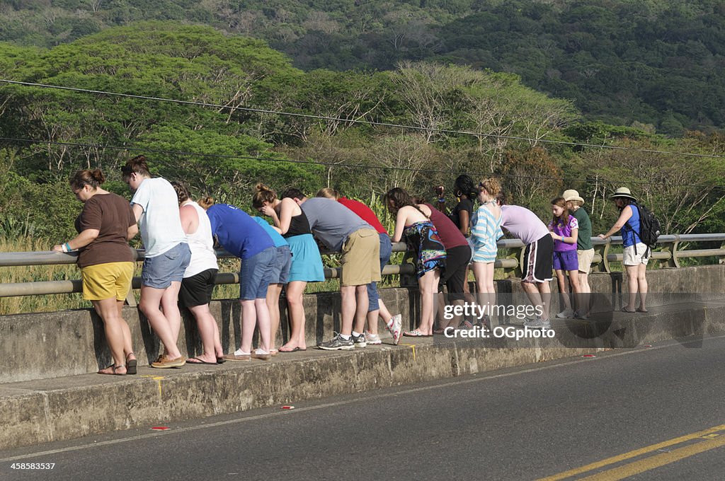 Grupo de turistas a olhar sobre uma ponte