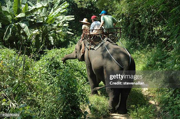 Children Riding Elephants Children Ride Elephant Photos and Premium High Res Pictures - Getty Images