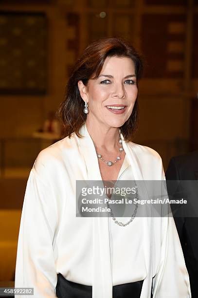 Princess Caroline of Hanover attends the Amsterdam AMADE Gala launch at the Rijksmuseum on November 7, 2014 in Amsterdam, Netherlands.