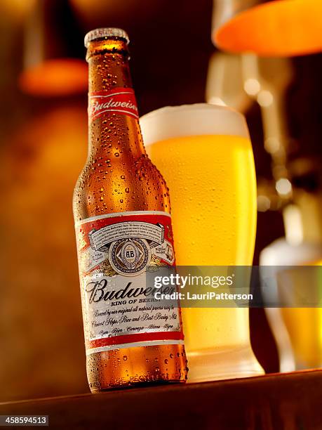 ice cold bottle of budweiser - inbev stock pictures, royalty-free photos & images