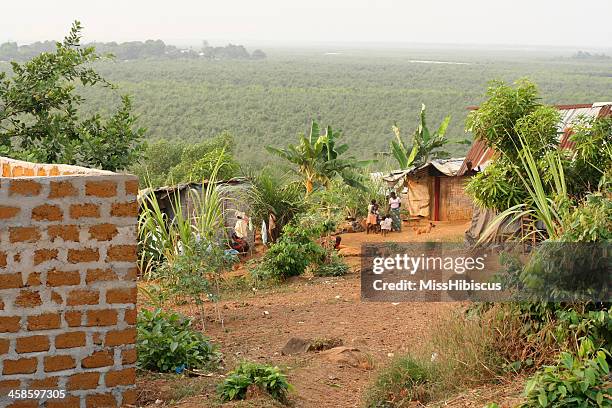 アフリカの家の熱帯雨林を一望する - liberia ストックフォトと画像